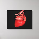 Suche nach menschliches herz leinwandbilder Innere organe