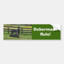 Suche nach dobermann autoaufkleber Welpe