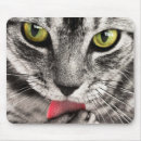 Suche nach miezekatze mousepads Haustier