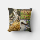 Suche nach wildlife kissen Känguru