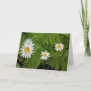 Suche nach farne karten Blumen