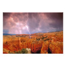 Suche nach bryce canyon national park poster Tree