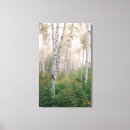 Suche nach birke leinwandbilder Herbst