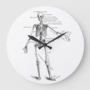 Suche nach skelette wanduhren Anatomie