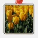 Suche nach tulpen ornamente Grün