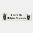Suche nach belgische malinois autoaufkleber Belgianisch