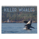 Suche nach killerwal kalender Wild lebende tiere