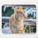 Suche nach werden sie kojote mousepads Tierfreunde