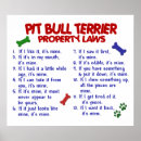 Suche nach pit bull poster Niedlich
