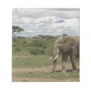 Suche nach elefanten notizblock Kenia