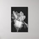 Suche nach weißes blumenfoto Für sie