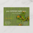 Suche nach grüner frosch visitenkarten Natur