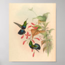 Suche nach vintager vogel poster Blume