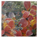 Suche nach denali fliesen Usa