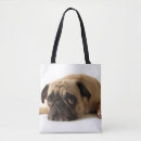 Suche nach traurig taschen Hund