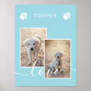 Suche nach hellblaues poster Modern