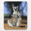 Suche nach lemur elektronik zubehör Niedlich