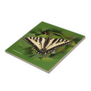 Suche nach schöne schmetterlinge fliesen Gelb