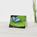 Suche nach morpho karten Fotografie