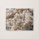Suche nach kirschbaum puzzle Quelle