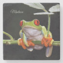 Suche nach frosch untersetzer Natur