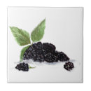 Suche nach brombeere fliesen Himbeere