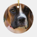 Suche nach hundeentwurf Hundezucht