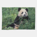 Suche nach asien geschirr tücher Bär