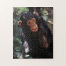 Suche nach schimpanse puzzle Afrika