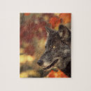 Suche nach wilder wolf puzzle Herbst