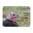 Suche nach turkey magnete Wildtruhe