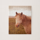Suche nach pony puzzle Wild