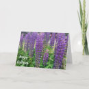 Suche nach lila blumen karten Blumig