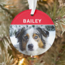 Suche nach australischer hund ornamente Dogs