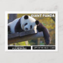 Suche nach riesen karten Panda