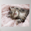 Suche nach towel poster Baby