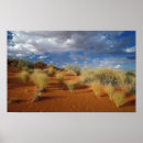 Suche nach kalahari poster Afrika