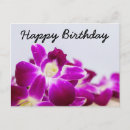 Suche nach weiße orchidee postkarten Geburtstag