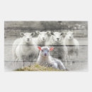 Suche nach flock aufkleber Schafe