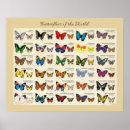 Suche nach lepidoptera poster Frack