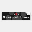 Suche nach für das vizsla autoaufkleber Zucht