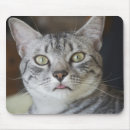Suche nach ägyptische katze mousepads Katzen