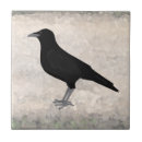 Suche nach crow fliesen Tiere