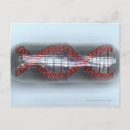 Suche nach kapsel postkarten Medizin