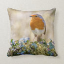 Suche nach rotkehlchen kissen Tierwelt