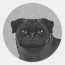 Suche nach cartoon mops aufkleber Haustier