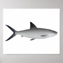 Suche nach magnet poster Ozean