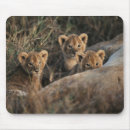Suche nach woche mousepads Tier
