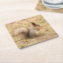 Suche nach isst untersetzer Eichhörnchen