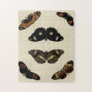 Suche nach creme puzzle Schmetterling